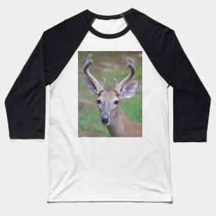 Antler Boy - white tailed deer Baseball T-Shirt